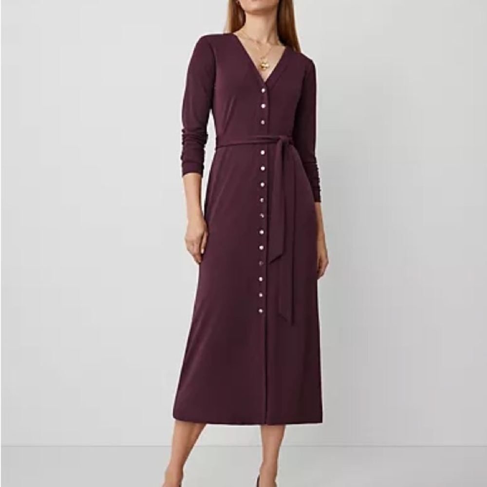 Ann Taylor dress